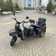 Купить Трицикл грузо-пассажирский IKINGI SibTrike MAX