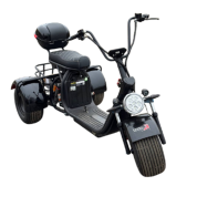 Купить Электроскутер TERAX CityTrike X12 (Х2)