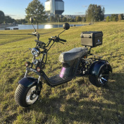 Купить Электроскутер Skyboard MyRussia 3000W LiFePo4 (с подогревом)