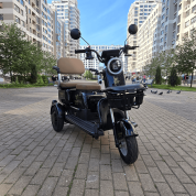 Купить Электротрицикл Terax ARKI 2.0 X3