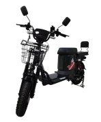 Электровелосипед SMD DRAGON - купить по честной цене