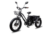 Электровелосипед Minako Trike - купить по честной цене