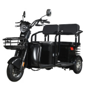 Купить Трицикл WHITE SIBERIA SIBTRIKE R 2000W