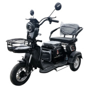 Купить Электротрицикл YAKAMA AP-H009-24