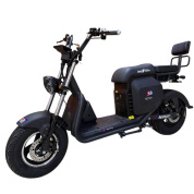 Купить Электроскутеры SmartBalance Sport Plus (2025)