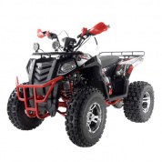 квадроцикл wels 200cc evo