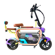 Купить Электроскутер Skyboard Piter 500W