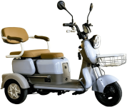Купить Пассажирский электротрицикл AVM City 650