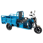 Купить Грузовой электротрицикл SmartBalance Cargo Lite