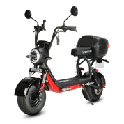 Купить Электроскутер White Siberia Mini R 3.0