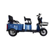 Купить Трицикл Terax LONGI NS006