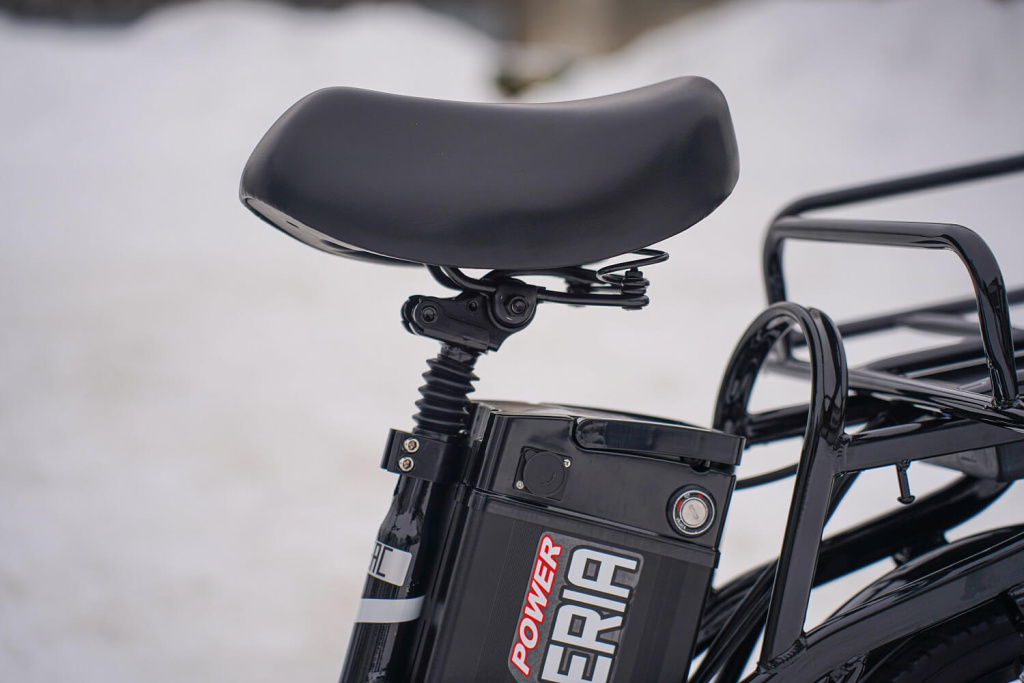 Купить Электровелосипед WHITE SIBERIA CAMRY 3.5 Курьер