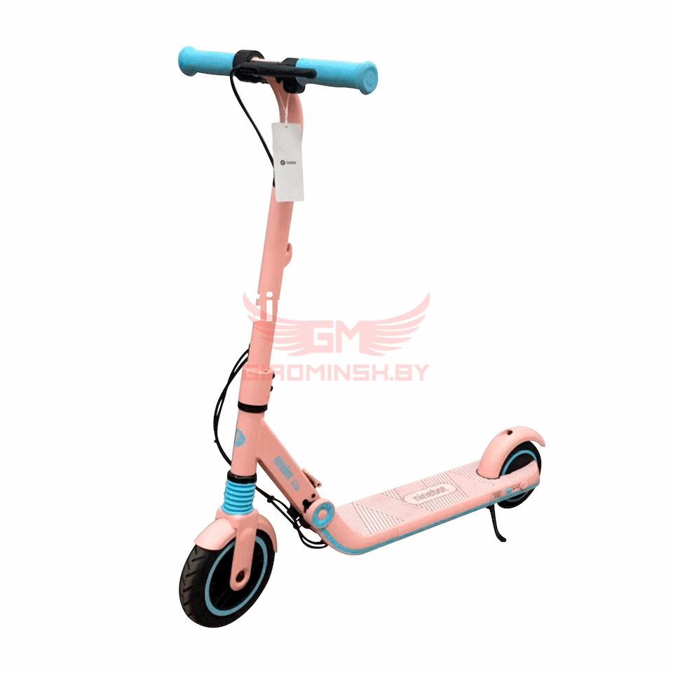 Электросамокат Ninebot eKickScooter Zing E8 Pink