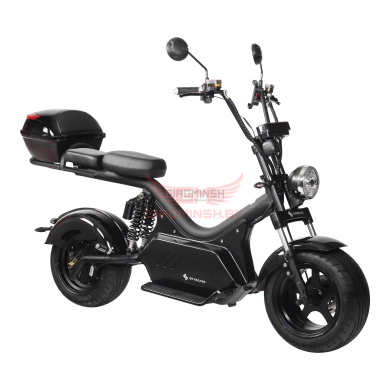 Купить Электроскутер SKYBOARD BR50-3000 PRO