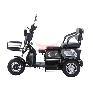 Купить Электротрицикл Terax APKI