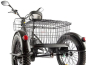 Электротрицикл GREEN CITY e-ALFA Trike