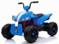 Детский квадроцикл T555TT