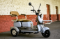 Пассажирский электротрицикл AVM City 650