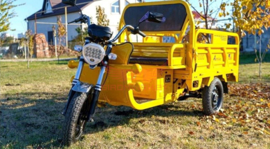 Купить Трицикл Antrike