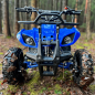 Детский квадроцикл QMC Torino 49cc