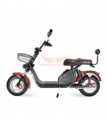Электроскутер White Siberia PRO LIGHT 2000W - купить в Минске и Беларуси