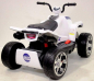 Детский квадроцикл T555TT