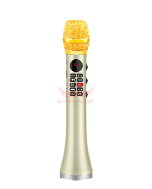 Купить профессиональный караоке-микрофон l-699 золотой