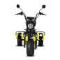 Трицкил White Siberia Siberton Pro Trike