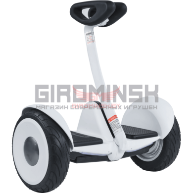 Купить Cигвей Ninebot S (белый)