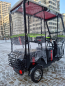 Трицикл Syccyba Trike 16 50 Ah