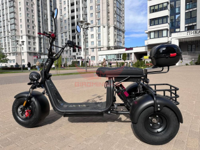 Купить Трехколесный электроскутер (трицикл) CityCoco GT X7 PRO TRIKE