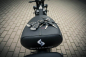 Электроскутер Skyboard Baikal BR50 3000W