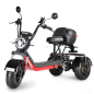 Мини электроскутер (трицикл) WHITE SIBERIA WS TRIKE MINI BLACK