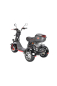 Трицикл White Siberia TRIKE PRO 3000w черный Трицикл White Siberia TRIKE PRO 3000w черный