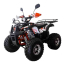 Квадроцикл Wels Thunder 125 lux