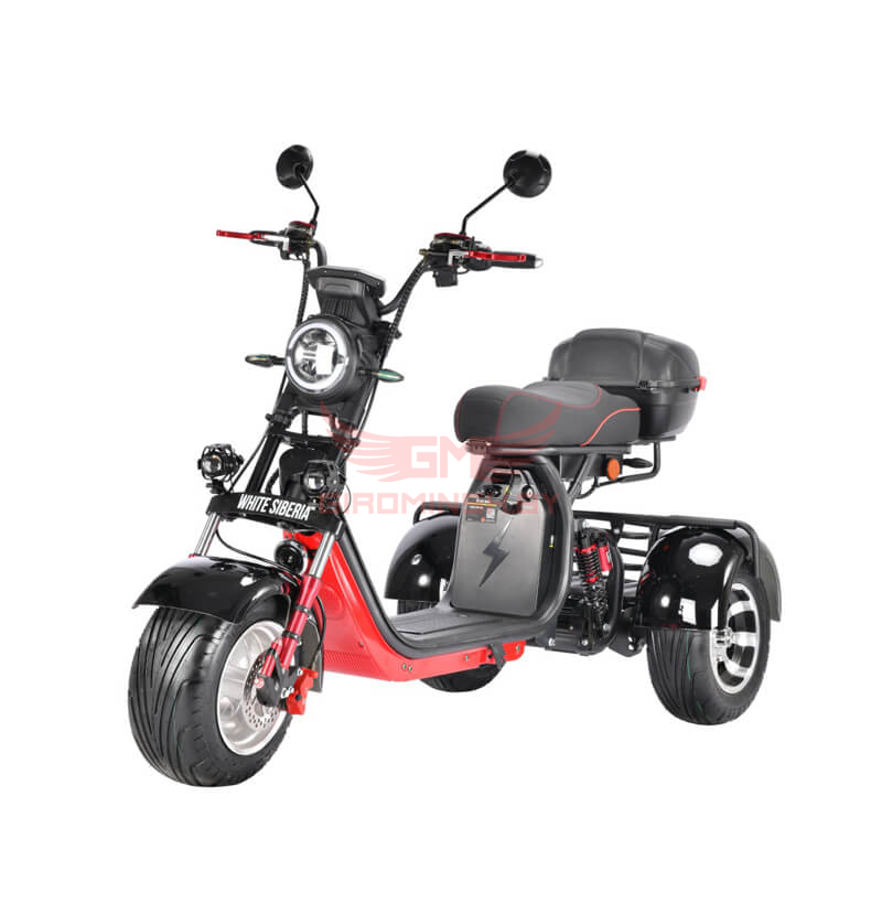Трицикл White Siberia TRIKE PRO 3000w черный