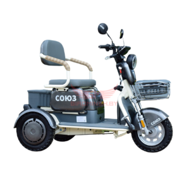 Купить Электротрицикл Terax СОЮЗ