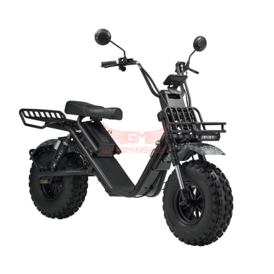 Купить Электроскутер Skyboard Kamchatka 3000W