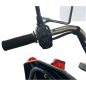 Грузовой электротрицикл SIBTRIKE CARGO 1.5 1000 кг