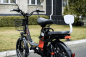 Электровелосипед AVM E-ALFA 20 Pro