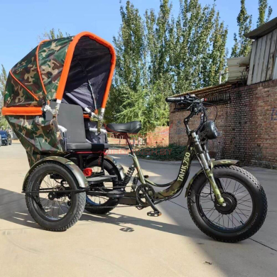 трехколесный электровелосипед «танк 750» - купить недорого