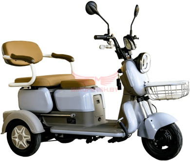 Купить Пассажирский электротрицикл AVM City 650