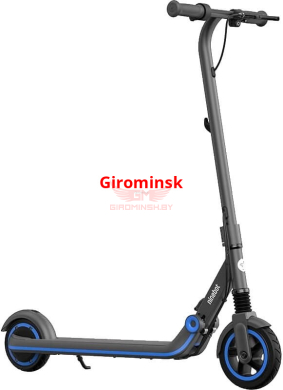 Электросамокат Ninebot eKickscooter Zing E10 Black - купить в Минске и Беларуси