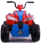 Детский квадроцикл T555TT