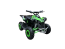 Электрический квадроцикл AMOTO Raptor 1000w