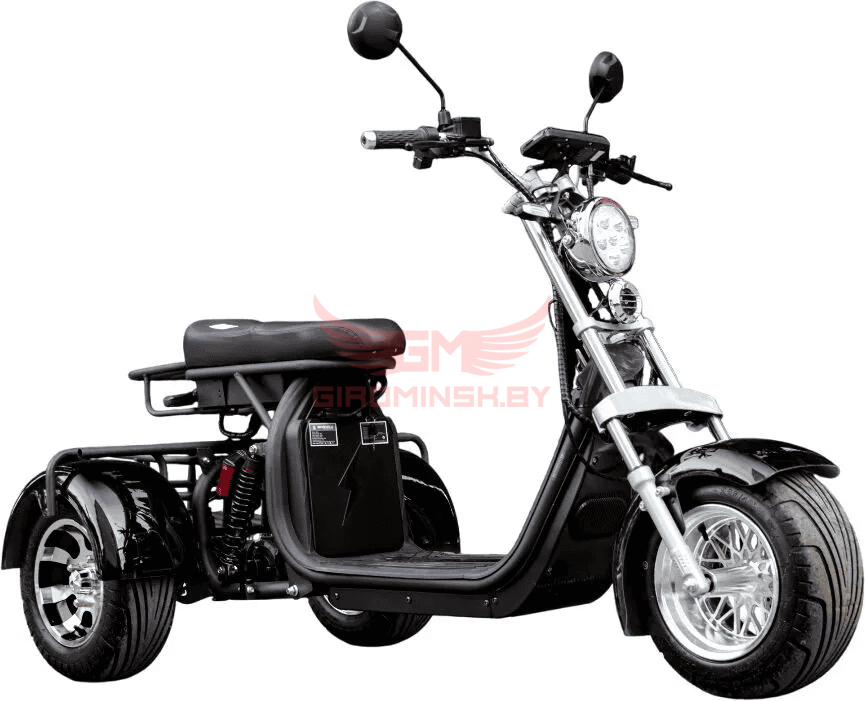 Электротрицикл AVM CityCoco Axel 2000