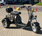 Электроскутер SmartBalance X11 Trike (2025)