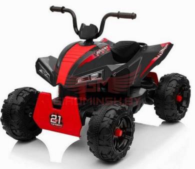детский квадроцикл t555tt
