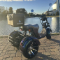 Электроскутер Skyboard MyRussia 3000W LiFePo4 (с подогревом)