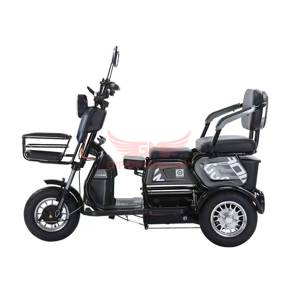 Электротрицикл Terax APKI